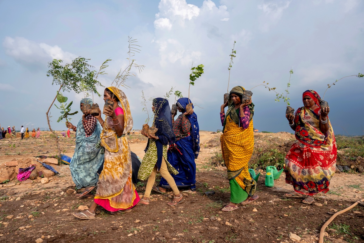 Lavoratrici che piantano alberi per la campagna di rimboschimento promossa dal governo indiano nella cittadina di Gadha Katra, vicino alla città di Prayagraj, nello stato settentrionale dell’Uttar Pradesh, in India (AP/Rajesh Kumar Singh)
