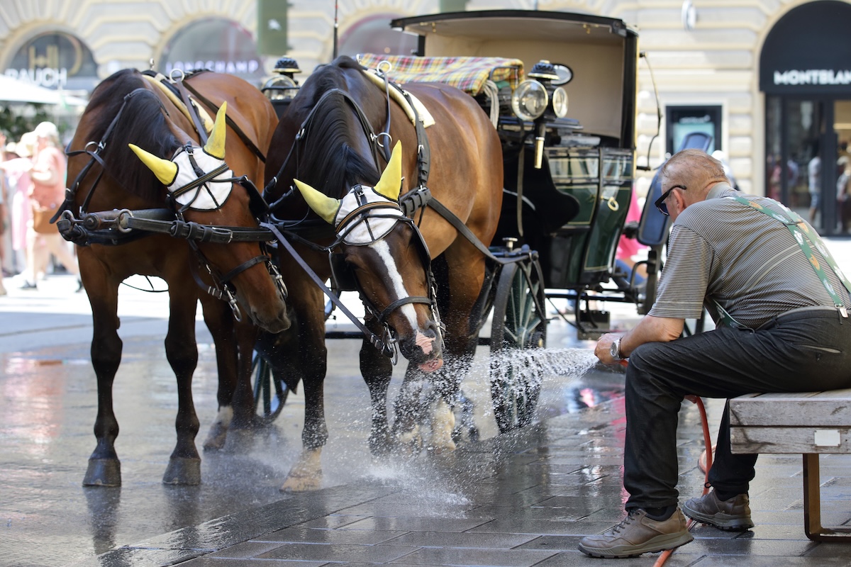 In Austria è stata registrata la temperatura più alta di sempre nel paese: 40,8 °C