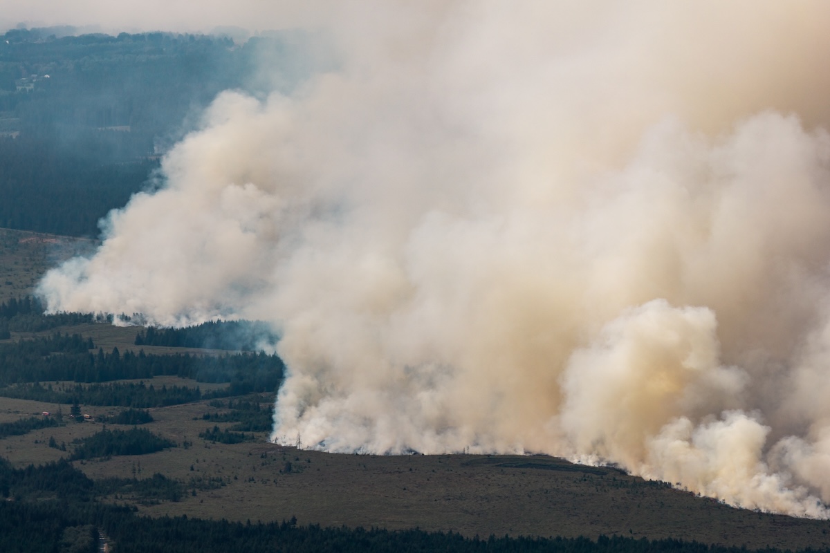 Leggi l'articolo: L’enorme incendio nella più grande riserva naturale del Belgio
