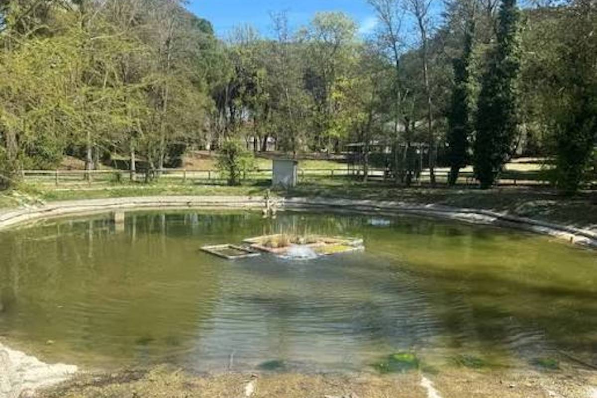 a causa dei ripetuti avvistamenti di un lupo a riccione tre parchi cittadini saranno chiusi nelle ore notturne da Ilpost.it a causa dei ripetuti avvistamenti di un lupo a riccione tre parchi cittadini saranno chiusi nelle ore notturne