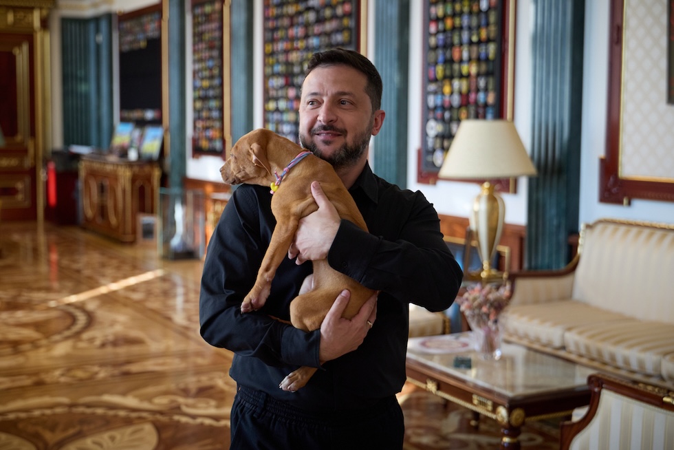 Il presidente ucraino Volodymyr Zelensky tiene in braccio un cucciolo di American Pit Bull Terrier, regalatogli dal pugile americano Terence Crawford (Ukrainian Presidential Press Office via AP)