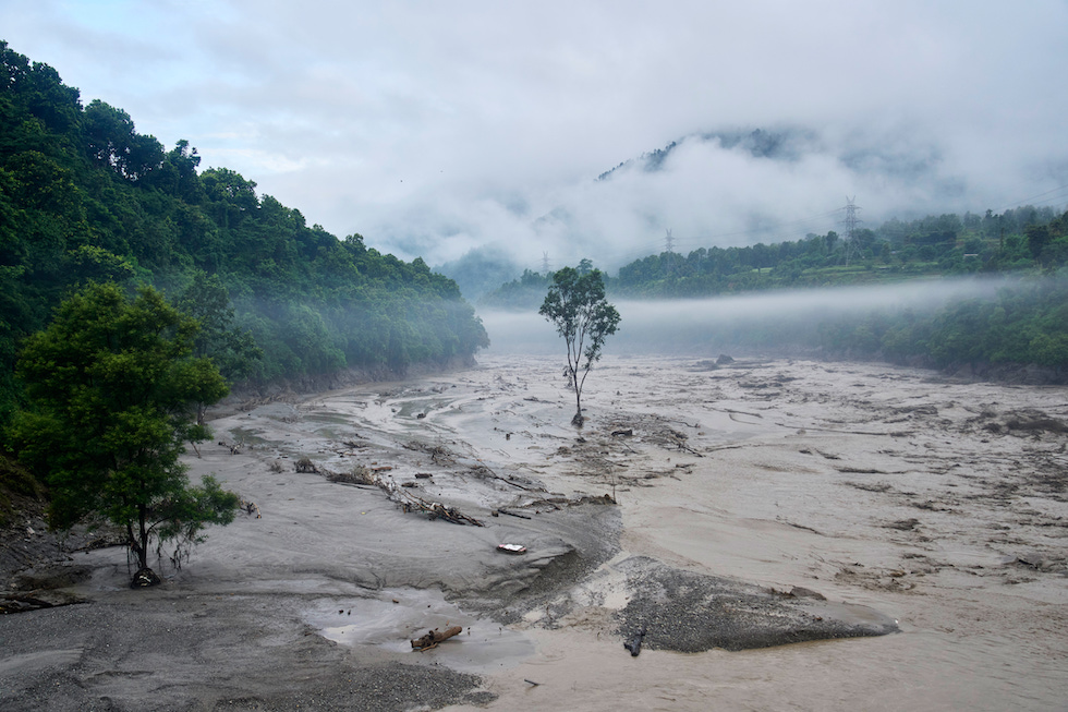 Un albero rimasto in piedi tra acqua e fango dopo l'espondazione di mercoledì (AP Photo/Niranjan Shrestha)
