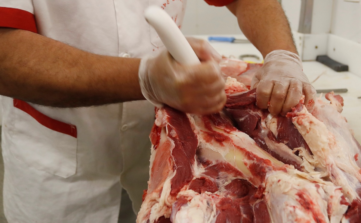 L’Unione Europea sospenderà le importazioni di diversi tipi di carne dal Brasile per il mancato rispetto delle norme sanitarie