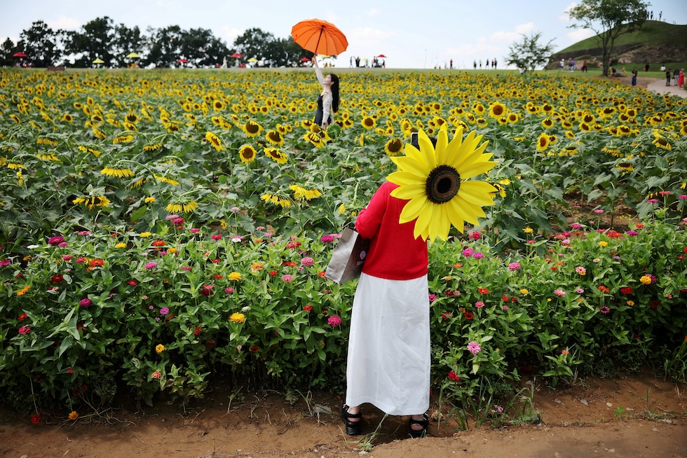 Una donna con un parasole a forma di girasole mentre fotografa un'amica, in un campo di girasoli (REUTERS/Kim Hong-Ji)

