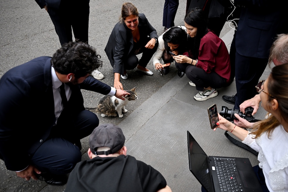 Giornalisti francesi accarezzano e fotografano Larry, il gatto di Downing Street  (Leon Neal/Pool Photo via AP)
