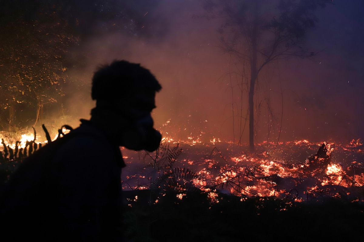 Un vigile del fuoco cammina attraverso il terreno torboso di una foresta colpita da un vasto incendio (AP Photo/Regina Safri)