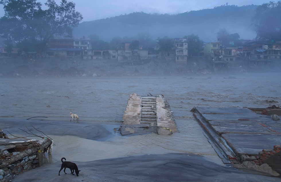 Cani vicino ai resti di una casa danneggiata dalle esondazioni sulle rive del fiume Trishuli (AP Photo/Niranjan Shrestha)