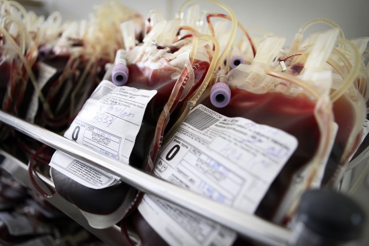 i testimoni di geova hanno cambiato idea sulle trasfusioni di sangue da Ilpost.it i testimoni di geova hanno cambiato idea sulle trasfusioni di sangue