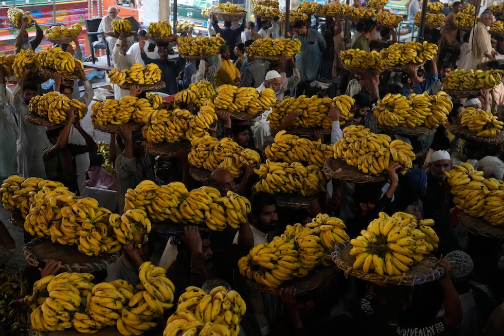 Lavoratori pakistani trasportano caschi di banane in un mercato della frutta (AP Photo/K.M. Chaudary)