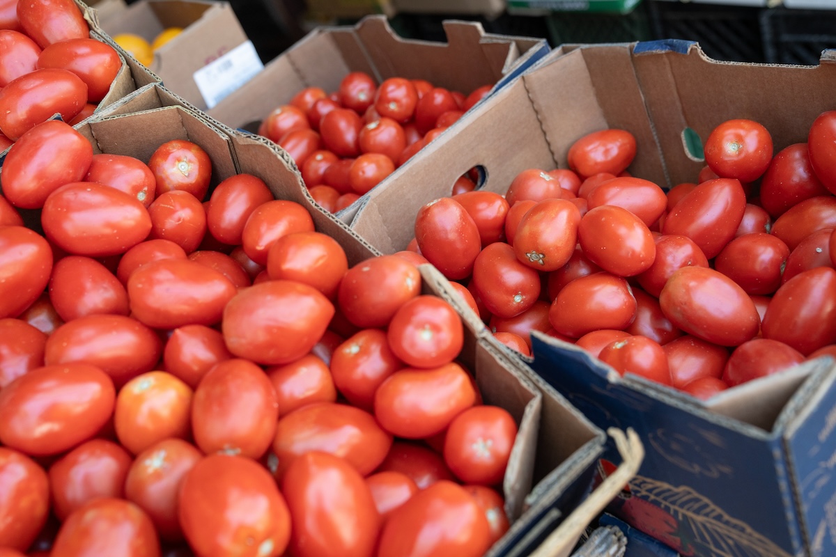 In Puglia sono stati vietati i pomodori crudi nelle mense di scuole e ospedali dopo due focolai di salmonella