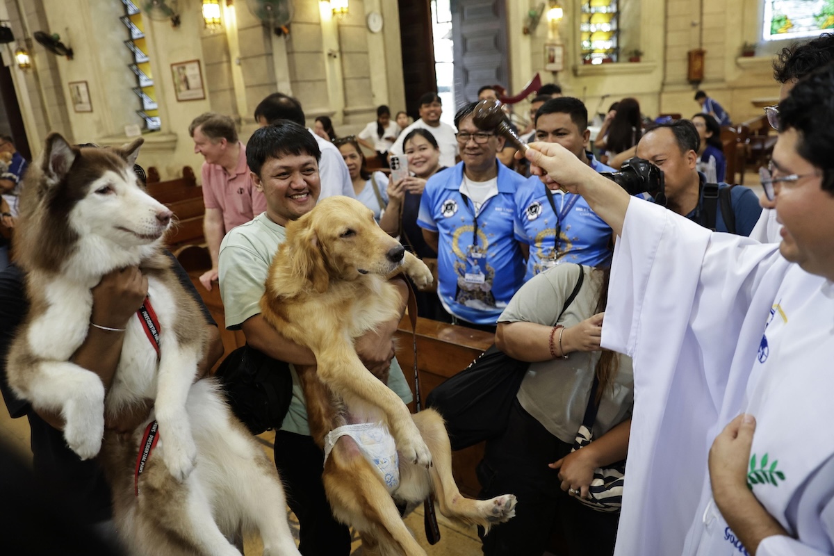 La benedizione degli animali in una chiesa cattolica (Rolex Dela Pena/EPA/ANSA)