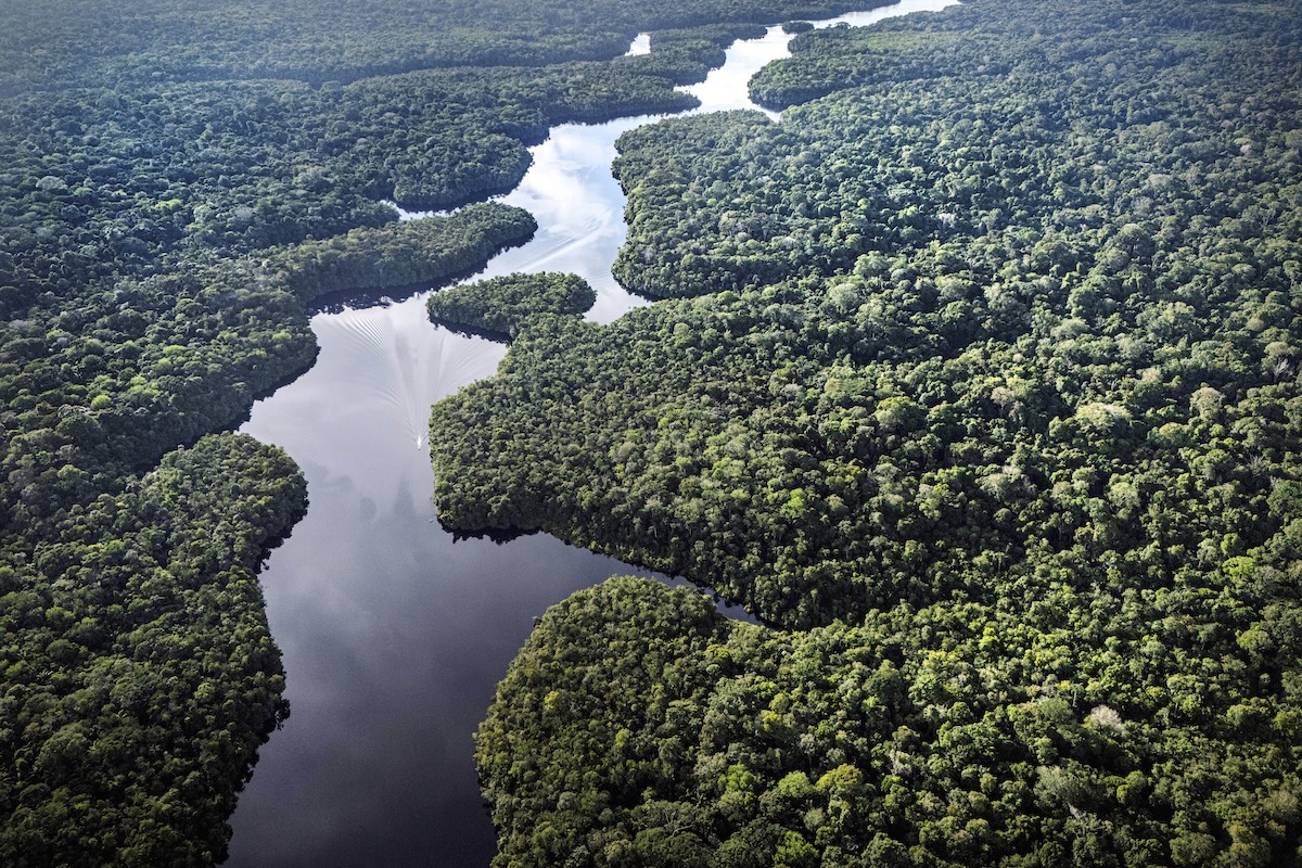 In Brasile la deforestazione è ai minimi da quando sono iniziate le misurazioni, nel 1988