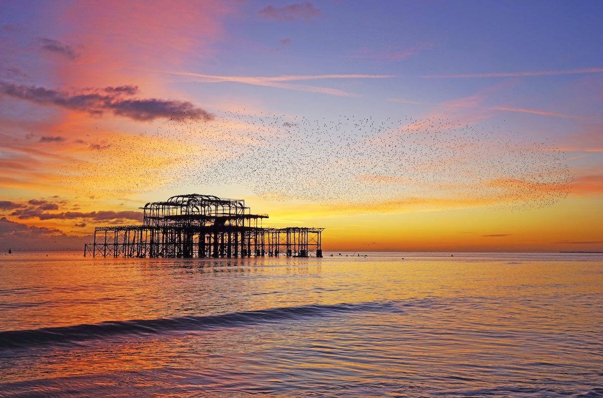 Leggi l'articolo: Il crollo di un pezzo del West Pier, il famoso molo di Brighton, durante una tempesta