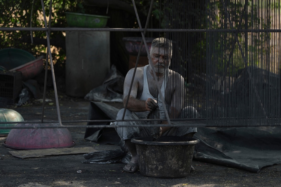 Un lavoratore indiano prepara gli stoppini usati nei petardi, in vista della festa induista di Diwali (AP Photo/Ajit Solanki)
