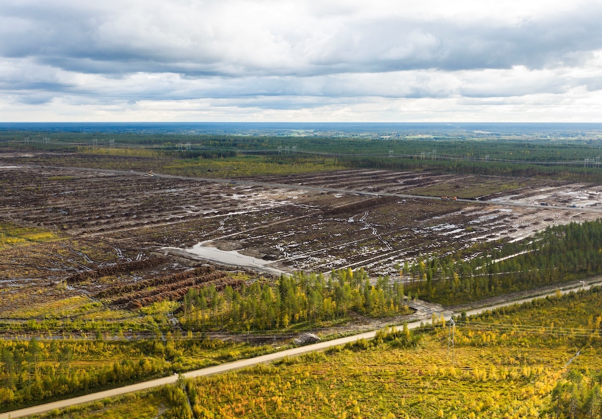 La Finlandia ha aperto un’indagine sull’abbattimento di una foresta da parte di Google per costruire un data center